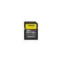 Sony SF-G128T memoria flash 128 GB SDXC UHS-II Classe 10 (SFG1TG)