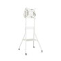 Hagor 8232 supporto da tavolo per Tv a schermo piatto 139,7 cm (55") Bianco