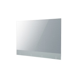 55  OLED, 1920X1080, 16:9, 400 NIT (55EW5G-V.AEU)