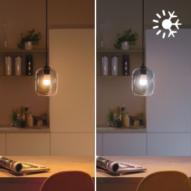 Philips LED Lampadina Smart Dimmerabile Luce Bianca o Colorata Attacco E14 40WSfera (929003499721)