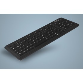Active Key АК-7000 tastiera PS/2 AZERTY Tedesco Nero (AK-7000-P-B/GE)