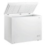 CONGELATORE ORIZZONTALE 290L (RCC395WH1)