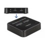 DeLOCK Docking Station M.2 per 2 x M.2 NVMe PCIe SSD con funzione di clonazione (64177)