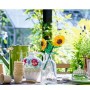 GIRASOLI (40524)