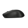 Trust 21869 mouse Ambidestro RF Wireless Ottico 1800 DPI (21869)