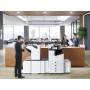 Epson WorkForce Enterprise WF-M21000 D4TW (C11CJ87401)