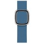 Apple MTQM2ZM/A accessorio per smartwatch Blu Pelle
