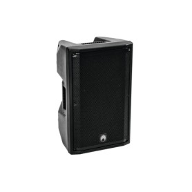 Omnitronic 11038796 altoparlante 2-vie Nero Con cavo e senza cavo 300 W