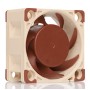 Noctua NF-A4X20 5V PWM ventola per PC Case per computer Ventilatore 4 cm (NF-A4X20 5V PWM) (NF-A4x20 5V PWM)