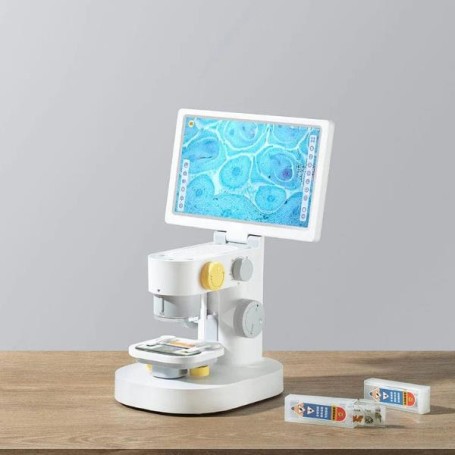 MICROSCOPIO SMART MX TOUCH SCREEN (BL-DDL-MX)
