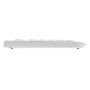 CHERRY KW 3000 tastiera Universale RF Wireless QWERTZ Tedesco Bianco (JK-3000DE-0)