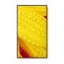NEC MultiSync M501-2 Design chiosco 127 cm (50") LED 4K Ultra HD Nero Processore integrato (60006084)