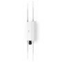 MANAGED AP OUTDOOR DUAL BAND (EWS850-FIT)
