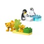 FAMIGLIE ANIMALI PINGUINI LEONI (10442)
