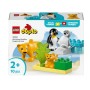 FAMIGLIE ANIMALI PINGUINI LEONI (10442)