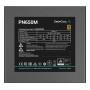 PN650M (schwarz, 650 Watt) (R-PN650M-FC0B-EU)