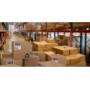 CF1600ETICHETTE 99X34MM 100FF (LP4MS-9934)