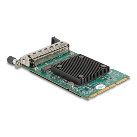 DeLOCK Scheda OCP 3.0 per 4 x RJ45 Gigabit LAN (88300)
