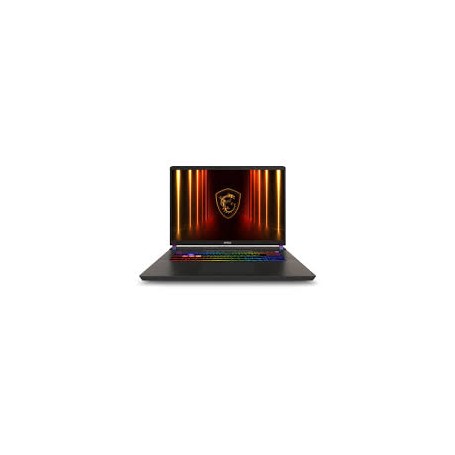 MSI Vector 17 HX AI A2XWHG-041 U9 32 W11H (0017S3-041)