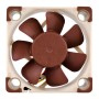 Noctua NF-A4x10 FLX Case per computer Ventilatore 4 cm (NF-A4x10 FLX)