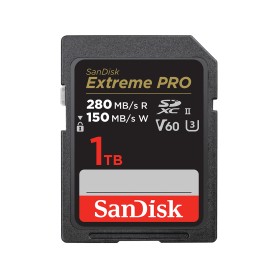 SanDisk SDSDXEP-1T00-GN4IN memoria flash 1 TB SDXC UHS-II Classe 10 SanDisk SDSDXEP-1T00-GN4IN memoria flash 1 TB SDXC UHS-II Classe 10