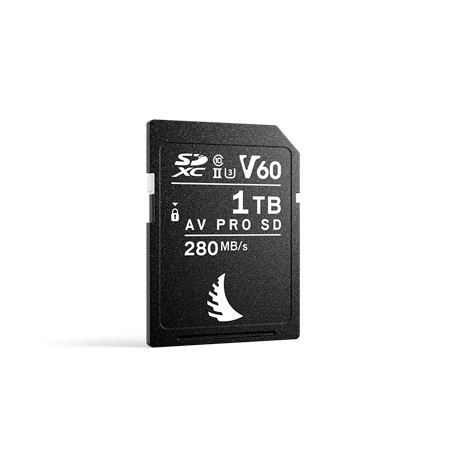 Angelbird Technologies AV PRO SD V60 MK2 1,02 TB SDXC UHS-II (AVP1T0SDMK2V60)