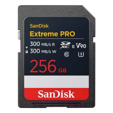 SanDisk Extreme PRO 256 GB SDXC UHS-II Classe 10 (SDSDXDM-256G-GN4IN)