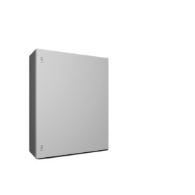 Rittal AX 1077.000 Da parete Grigio chiaro (1180000)