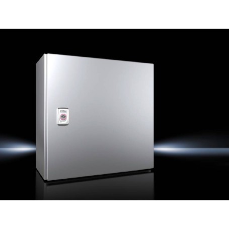 Rittal AX 1006.000 centralino Acciaio inox IP66 (1006000)