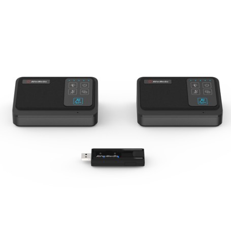 AVerMedia AW111 accessorio per videoconferenza Microfono Nero (61AW111000AB)