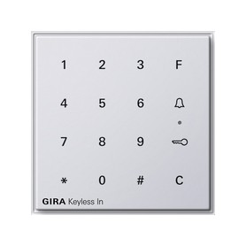 GIRA 260566 accessorio per interruttore elettrico