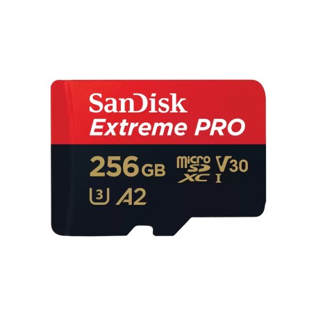 Extreme PRO 256 GB microSDXC (UHS-I U3, Class 10, V30, A2) (SDSQXCD-256G-GN6MA)