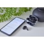Buds Plus T310AE (schwarz) (3720310)