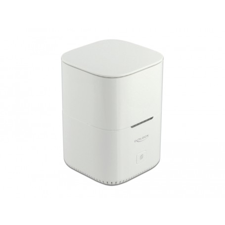 DeLOCK 63331 contenitore di unità di archiviazione Box esterno SSD Bianco M.2 (63331)