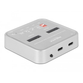 DeLOCK 64138 docking station per unità di archiviazione Argento (64138)