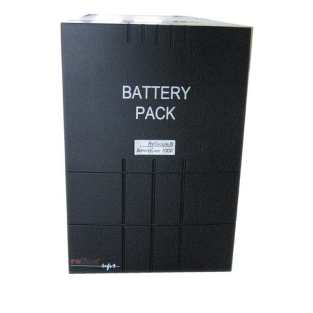 ROLINE 19.40.1073 batteria UPS (19.40.1073)