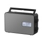 Panasonic RF-D30BTEG Portatile Digitale Nero, Grigio (RF-D30BTEG-K)