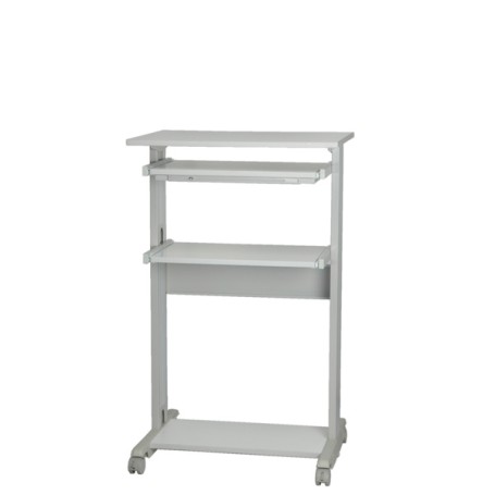 ROLINE PC Standing Workstation Forma rettangolare Metallo, Plastica Grigio, Bianco (17.02.1545)