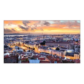Samsung VH55C-E LCD Interno (LH55VHCEBGBXEN)