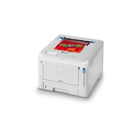 C650dn (grau, USB, LAN) (09006144)