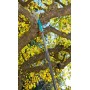 Gardena 3721-20 non classificato (3721-20) (03721-20)