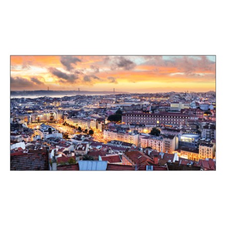 Samsung VH55C-E LCD Interno (LH55VHCEBGBXEN)