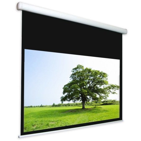 TELO PROVIS 190X119 PROVIS MOTORIZZ 16:10 (PRV51295)