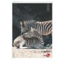 CF 10 QUADERNI ANIMAL A4 80GR R.C (0110377)