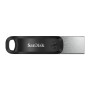 SanDisk SDIX60N-256G-GN6NE unità flash USB 256 GB 3.2 Gen 1 (3.1 Gen 1) Grigio, Argento (SDIX60N-256G-GN6NE)