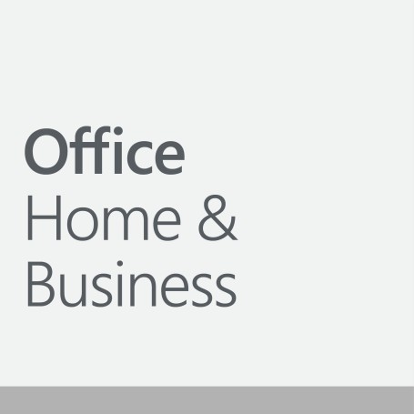 Office Home & Business 2024 (Deutsch, DE, fr PC und MAC) (EP2-06662)