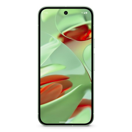 Pixel 9 128GB (Wintergreen, Android 14, Dual SIM, 12 GB) (GA05840-GB)