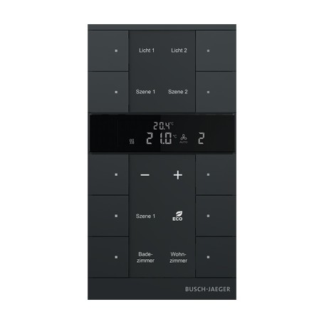 Busch-Jaeger 41395CF-A-03 non classificato (2CKA006220A0901)