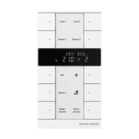 Busch-Jaeger CT/S2.11 non classificato (2CKA006220A0891)
