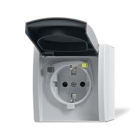 Busch-Jaeger 3120 EWB-53 presa energia Tipo F Grigio, Bianco (2CKA003116A0664)